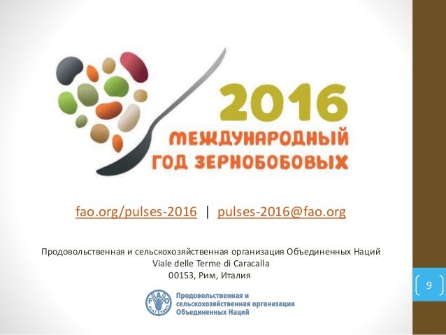 ?2018-й - Международный год зернобобовых по решению Асамблеи ООН ?2018-й - Международный год зернобобовых по решению Асамблеи ООН